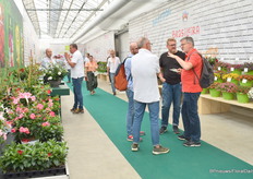 Meetings vinden continu plaats.